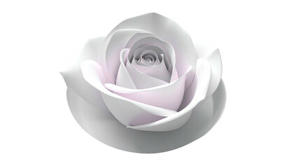 A luminous, delicate white rose bloom with tightly-curled petals. Soft gray-lavender hues at its heart