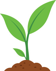 Green sprout growing from brown soil with white background plant growth