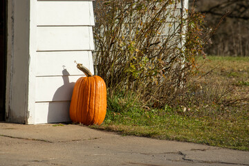 An orange pumpkin on the ground