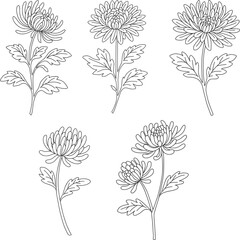 국화_선묘_조의