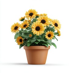 Vibrant Yellow Sunflowers in Terracotta Pot Against White Background