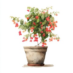 Watercolor Painting of a Flowering Plant in a Terracotta Pot