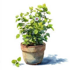 Fototapeta premium Watercolor Painting of a Small Plant in Terracotta Pot