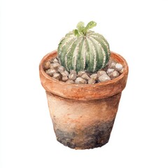 Watercolor Painting of Small Green Cactus in Terracotta Pot