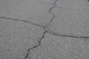 Obraz premium アスファルト舗装面の十字状の亀裂