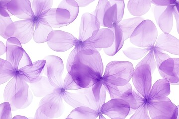 A Beautiful Collection of Delicate Purple Flowers Highlighting Nature's Elegance and Intricate Design