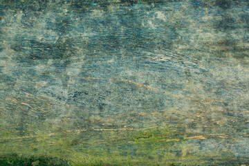 Old wooden planks with moss, green moss texture on wooden planks.