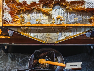Honeycomb frame with string on display drips fresh honey onto a cup at breakfast buffet. Golden honeycomb oozes fresh honey on metal stand, with glassware and wooden elements in a refined buffet.