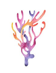 Coral reef watercolor illustration of abstract sea underwater plants.
