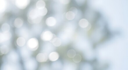 Minimalist natural background depicting a gentle, hazy blue atmosphere with soft foliage shadows and subtle, luminous lens flares
