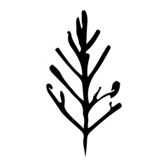 Fototapeta premium star and pine tree on the christmas element