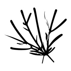 star and pine tree on the christmas element