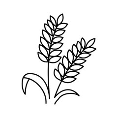 Fototapeta premium Wheat Icon