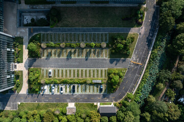 Aerial view of parking lot with cars and trees, neatly arranged