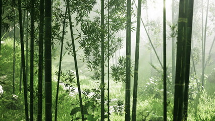 Fototapeta premium In a tranquil bamboo forest, sunlight filters through tall green stalks, casting gentle shadows on the vibrant foliage. The atmosphere is one of peace and natural beauty.