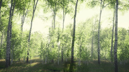 Obraz premium Sunlight gently streams through the vibrant foliage, illuminating the tranquil forest. Tall trees create a natural canopy, inviting a sense of peace and calm. Nature thrives in this lush setting.