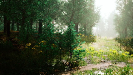 Obraz premium Gentle sunlight streams through a canopy of green leaves, casting soft shadows on the forest floor. Vibrant plants and wildflowers create a tranquil atmosphere in this peaceful woodland scene.