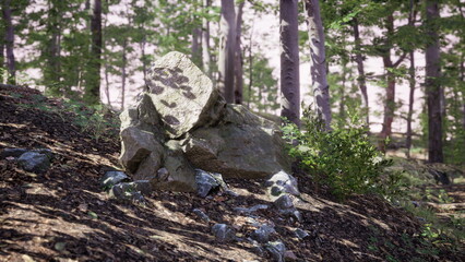 Obraz premium A tranquil forest setting showcases large rocks among lush greenery. Sunlight filters through leaves, casting gentle shadows on the forest floor.