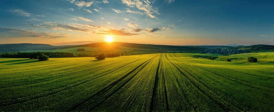 Golden sunset over a green field with tracks and distant hills under a blue, partly cloudy sky
