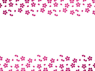 小桜F、m12マゼンタ