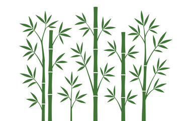 bamboo leaves isolated on white