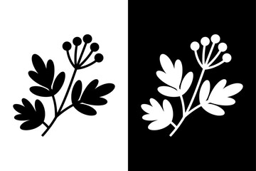 Coriander Plant Silhouette Icon in Black and White. Minimalist Cilantro Vector Illustration Design