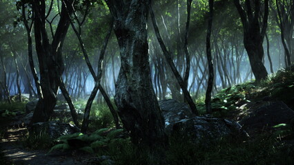 In the quiet of dawn, a serene forest is filled with tall, slender trees and thick undergrowth. Soft light filters through the mist, creating a magical atmosphere among the rocks and ferns.