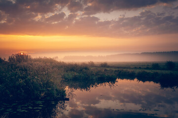 Fototapeta premium Foggy sunrise over Dutch wetlands with warm golden light, calm water reflections and tall reeds. Peaceful rural landscape in the Netherlands.