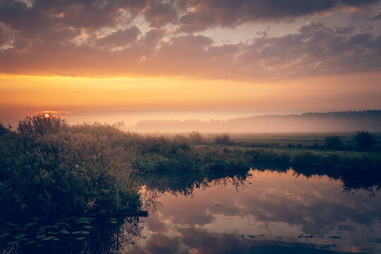 Foggy sunrise over Dutch wetlands with warm golden light, calm water reflections and tall reeds. Peaceful rural landscape in the Netherlands.