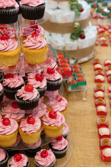 Cupcakes with Pink Frosting on Display