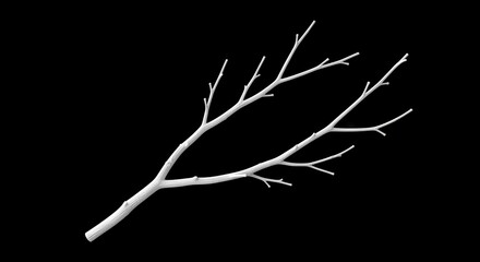 A bare white tree branch with several smaller offshoots against a stark black background