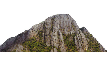 The mountain has many natural trees Separated from the white background
