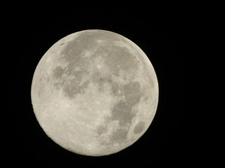 Fototapeta premium Full hunter’s moon on dark night sky
