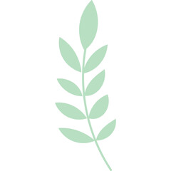 Delicate Light Green Leafy Branch with Soft Petals Isolated on Transparent Background for Floral Design and Nature Elements