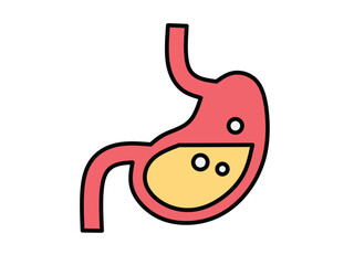 Human stomach illustration A visual representation of the digestive organ, suitable for medical, educational and healthcare materials