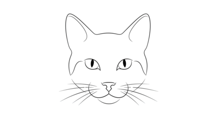 vector illustration of a cat