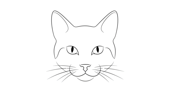vector illustration of a cat