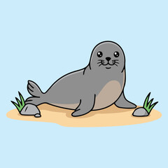 Cute Hawaiian Monk Seal — Endemic Wildlife of United States | Flat Vector Illustration