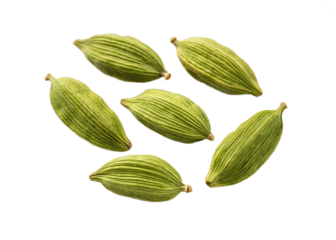 Green cardamom pods pile isolated on transparent background