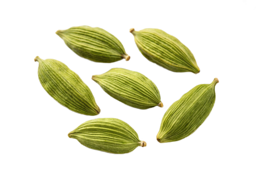 Green cardamom pods pile isolated on transparent background