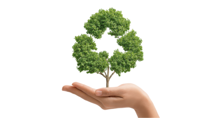 Recycle Symbol Tree Growing in Hand - Eco-Friendly Concept