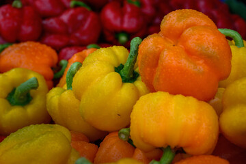 Yellow and orange capsicums with raindrops