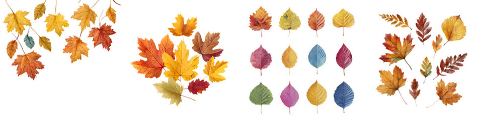 Fototapeta premium Watercolor Autumn Leaves Collection on White Background