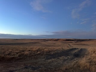 Open prairie fields stretch beneath a bright blue sky in rural Alberta, Canada. The scene captures the quiet beauty and vastness of the Canadian countryside with warm tones and soft evening light.