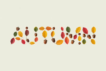 Delightful autumn season design featuring colorful leaves and acorns spelling out the word Autumn for festive fall decorations and seasonal greetings cards projects