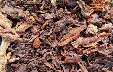 Macro of highly fragmented, dark bamboo fiber. Represents advanced wood decay and rotten biomass. Excellent texture for 3D modeling and survival concepts.