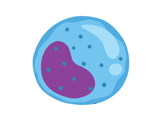 Monocyte White Blood Cell Illustration
