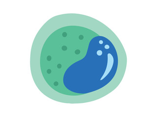 Monocyte White Blood Cell Illustration
