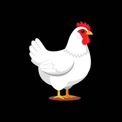 Bright white chicken standing proudly with red comb and wattle full body side view