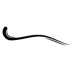 Abstract flourish swoosh with curved lines for elegant graphic accent